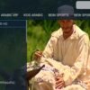 service dimaliv 12 Mois – Image 4