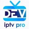 service Dev 12 mois