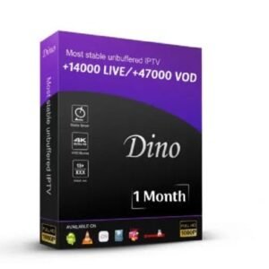 Abonnement dino iptv chaines & vods (1 mois)