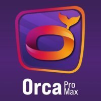 iptv orca pro max code activation 12 mois