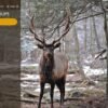 service ELK – Image 3
